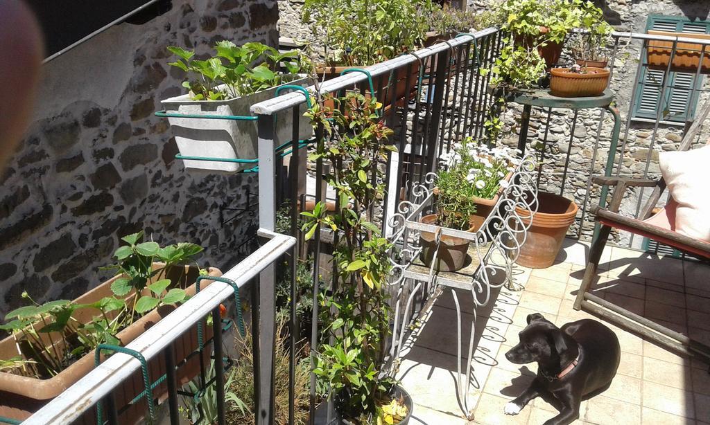 Casa Med Holiday Home Isolabona Dış mekan fotoğraf